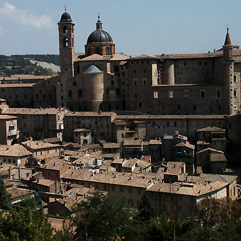 Urbino